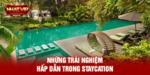 Staycation (Du lịch tại chỗ) – Xu hướng nghỉ dưỡng hiện đại được nhatvip đồng hành