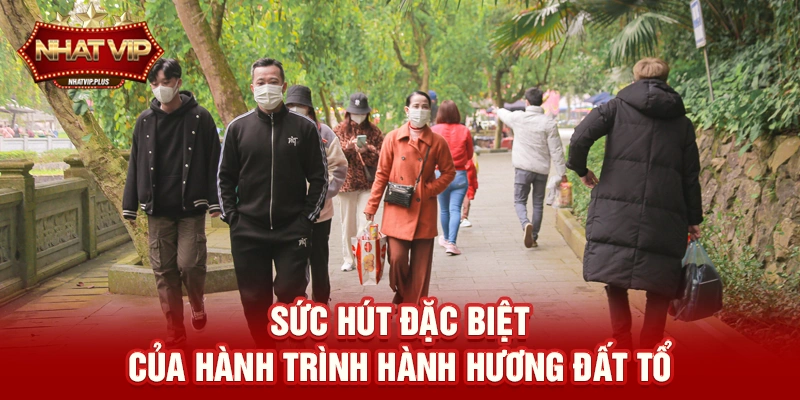 Sức hút đặc biệt của hành trình Hành hương Đất Tổ